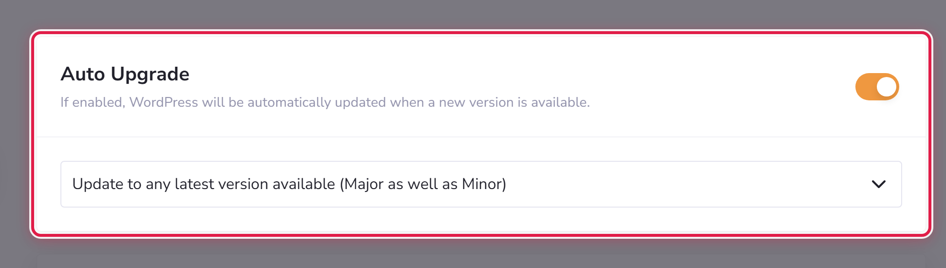 The Auto Updates screen, with switches for WordPress, plugins and themes.