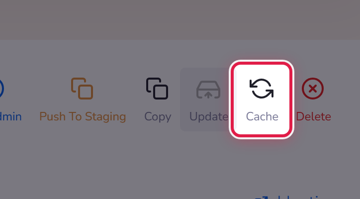 The Cache button in the site actions.