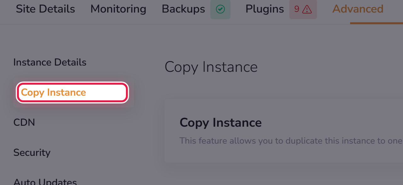 The Copy Instance screen, with its button ringed.